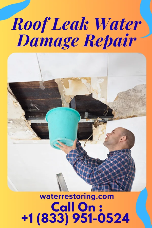 Roof Leak Water Damage Repair in La Verkin, UT